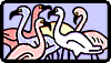 Des dodos 